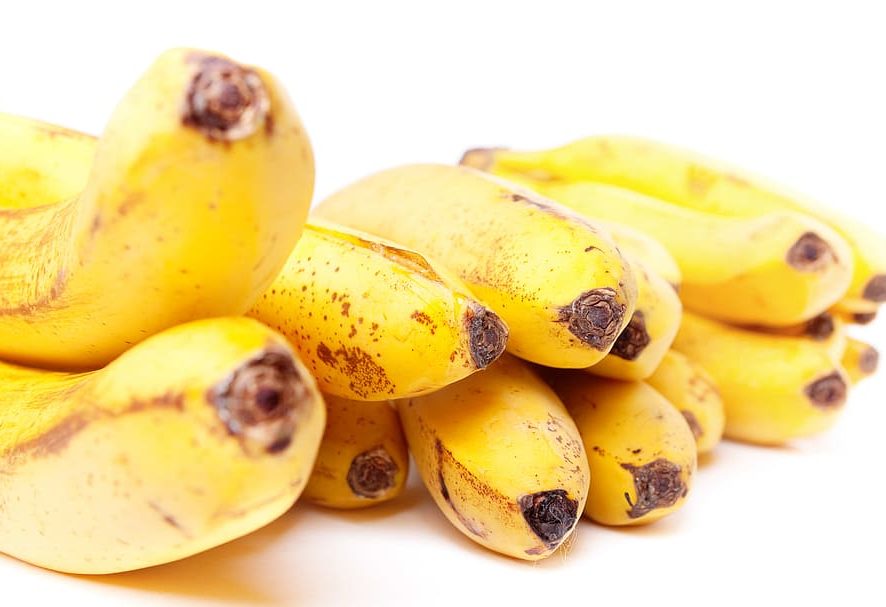 Freche Früchtchen Teil 4 – Bananen 🍌